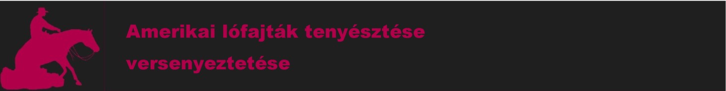Amerikai lfajtk tenysztse, versenyeztetse